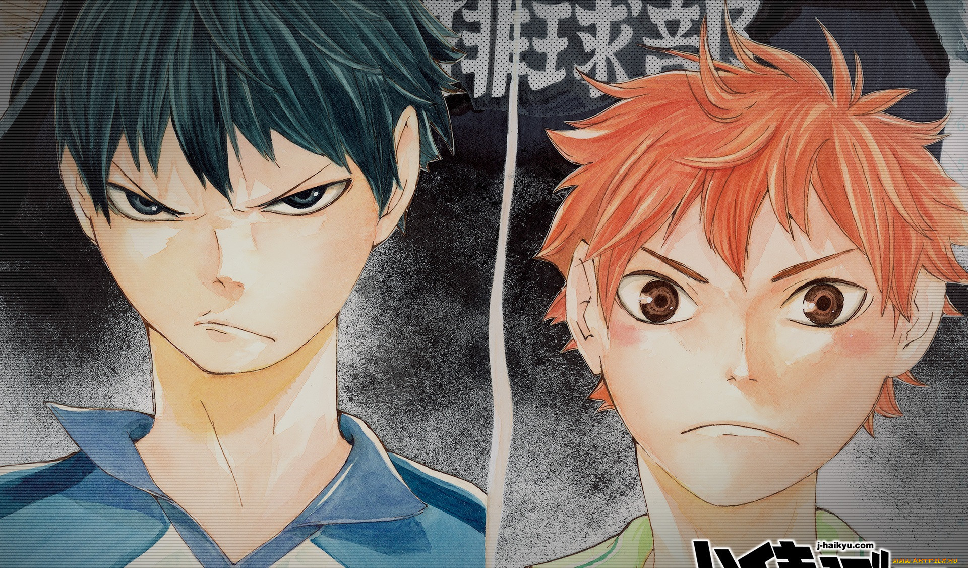 , haikyuu, 